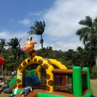 Kiddie Play Girafa 3 em 1
Até 7 anos