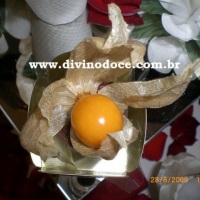 Physalis