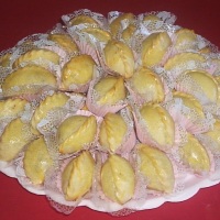 Saltenha