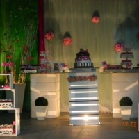 Festa 15 anos PInk