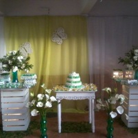 Festa 80 anos Verde
