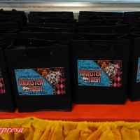 Sacolinhas personalizadas Monster High para lembrancinha de aniversário.