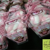 Decoração Chá de Bebê - Tema Corujinhas