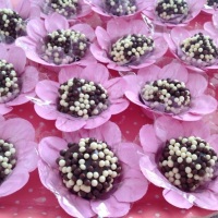 Donna Doces