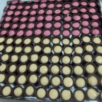 Copinhos de Chocolate com Mousse de Morango e Maracujá.