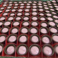 Copinhos de Chocolate com Mousse de Morango.