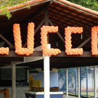 Letras