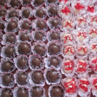 Choconozes