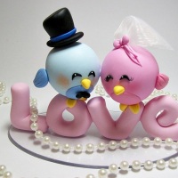 casal passarinho