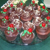 CUPCAKES