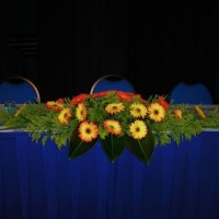 Decoração Mesa Palestrante