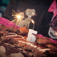 fotografia de aniversário, tel 2629-7519
