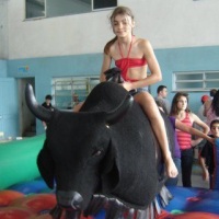 Touro Mecânico