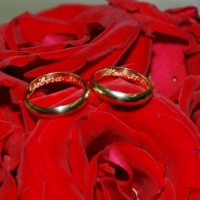 detalhes