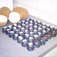 Bombons de cupuaçu