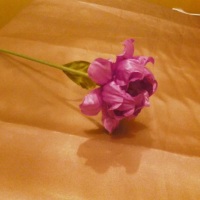 FORMINHA COM CABINHO