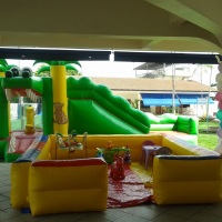Tobogã Jacaré e Espaço Baby