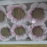 Brigadeiro de abacaxi com coco.