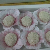 Beijinhos.