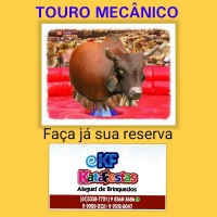 Touro mecânico