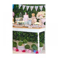 Locamos tudo para decoração