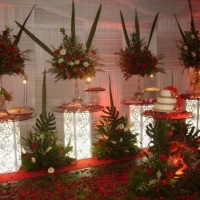 Casamento 4