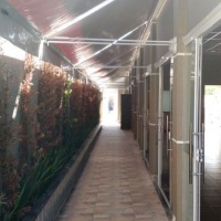 LATERAL