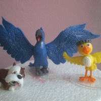 Turma do Rio