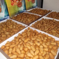 salgadinhos
