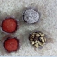 Brigadeiros Gourmets