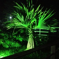 Iluminação Cênica Externa