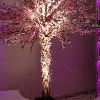 Par Led (Iluminação Cênica)