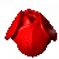 UMA ROSA PARA UM MUNDO EM PAZ E MAIS FELIZ!!!!!