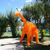 Melman - Madagascar