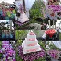 15 Anos Furnas