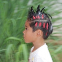 Camarim Fashion