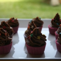 Mini CupCakes de chocolate
