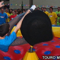 Touro Mecânico (5,5x5,5)