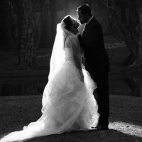 Trash the Dress