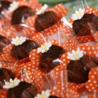 Docinhos