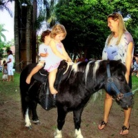 Ponei