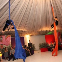 Circo