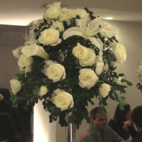 Decoração 2