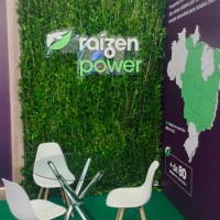 Parede instagramável plantas naturais