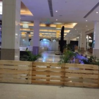 Divisórias de ambientes em pallets com caixas para plantas