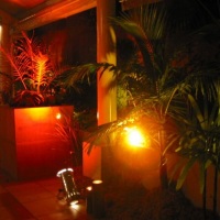 Luz decorativa