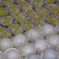 Trouxinha de nozes e glaceados