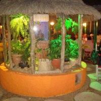 Aquario