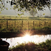 Sítio Recanto do Japu - Itajubá/MG