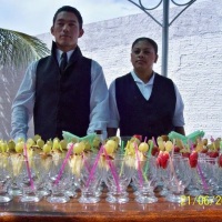 Bartender Romeu Eventos